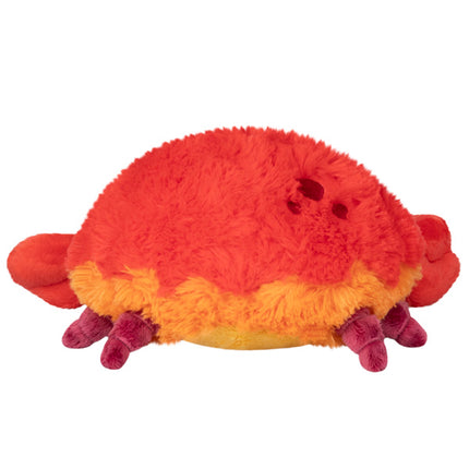 mini crab back image