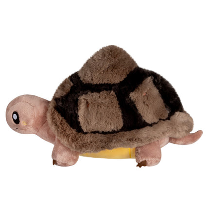 mini tortoise side image