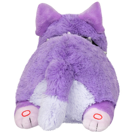 mini phlox the cat back