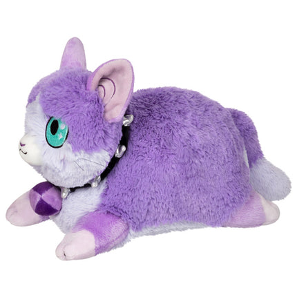 mini phlox the cat side