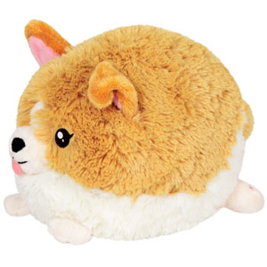 mini squish baby corgi 7 side