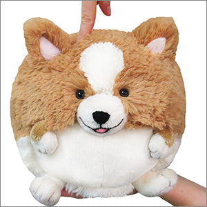 Mini Squishable Corgi Product Image