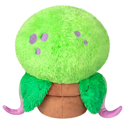mini squish venus fly trap back