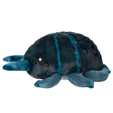 Mini Stag Beetle Side