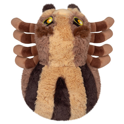 mini wolf spider top image