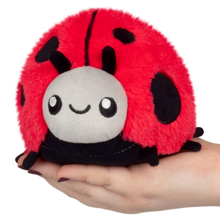 Snacker Ladybug Front Image