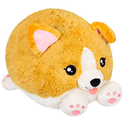 Squishable Baby Corgi Product Image