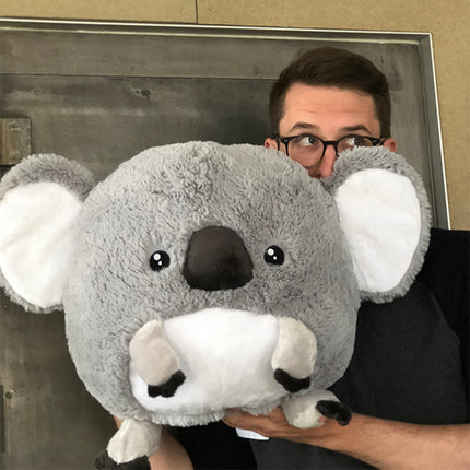 squish baby koala 15 user1