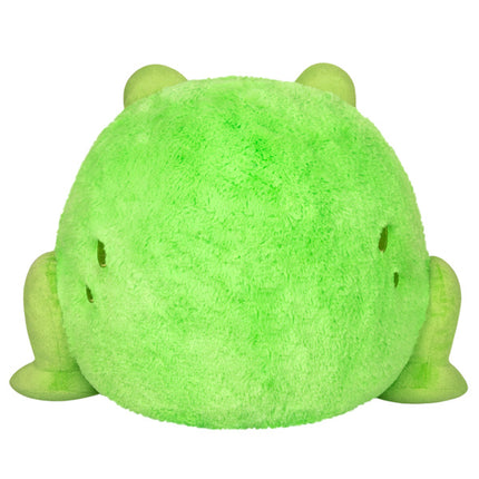 squish frog ii 15 back