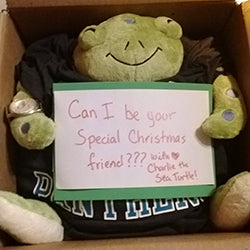 squish sea turtle 15 user3