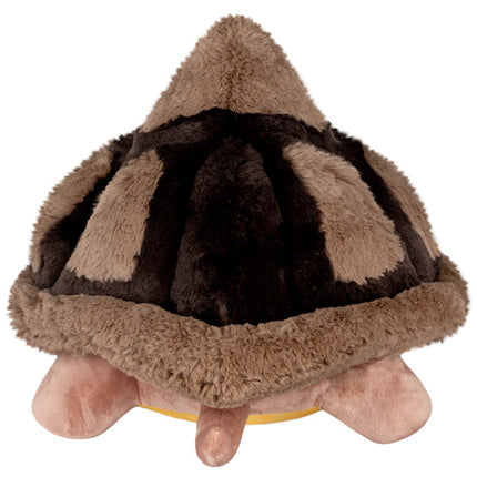 squish tortoise back image