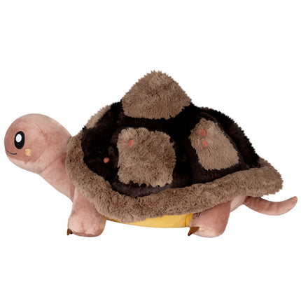 squish tortoise side image