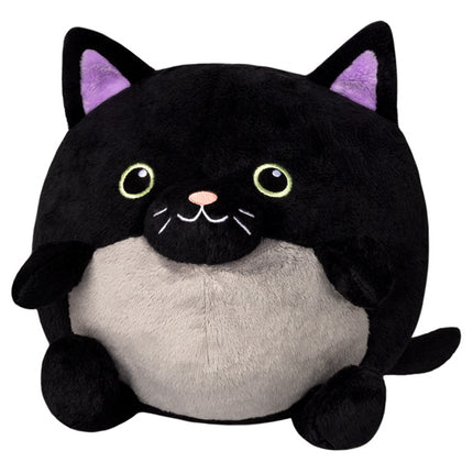 undercover kitty pumpkin 7 back