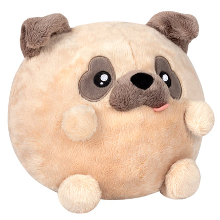 undercover pug witch 7 back
