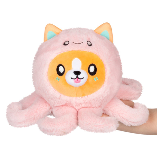 undercover snackers corgi in a octopus main image