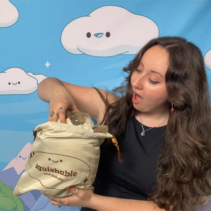 small tan dust bag user photo