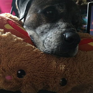 comfortfood hot dog user3