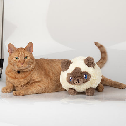 Mini Colorpoint Kitty User