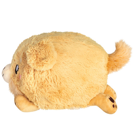 mini golden puppy side image