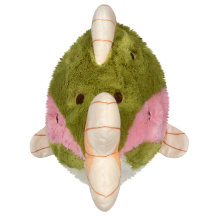 mini rainbow trout back view