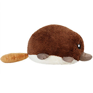 mini squish baby platypus 7 side
