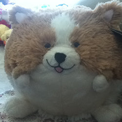 mini squish corgi 7 user4