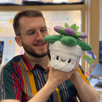 mini squish succulent 7 user1