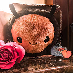 opensquish squish bumblebee 15 user2