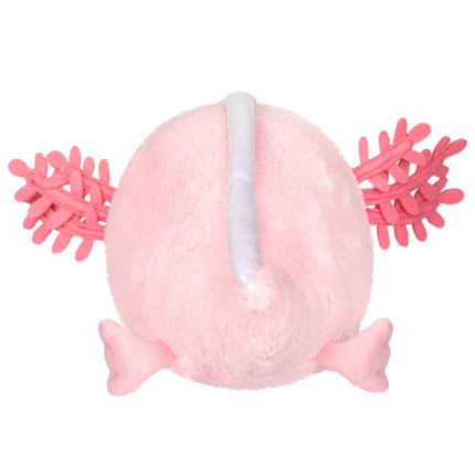 snackers baby axolotl back