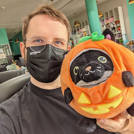 undercover kitty pumpkin 7 user1